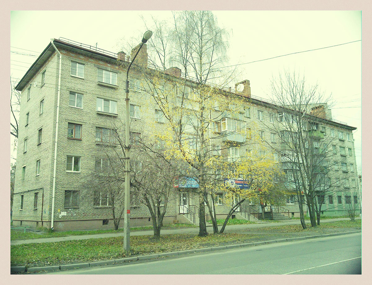 Cherepovets town